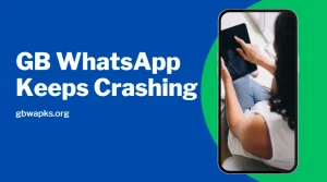 GB WhatsApp Keeps Crashing: How to Fix It
